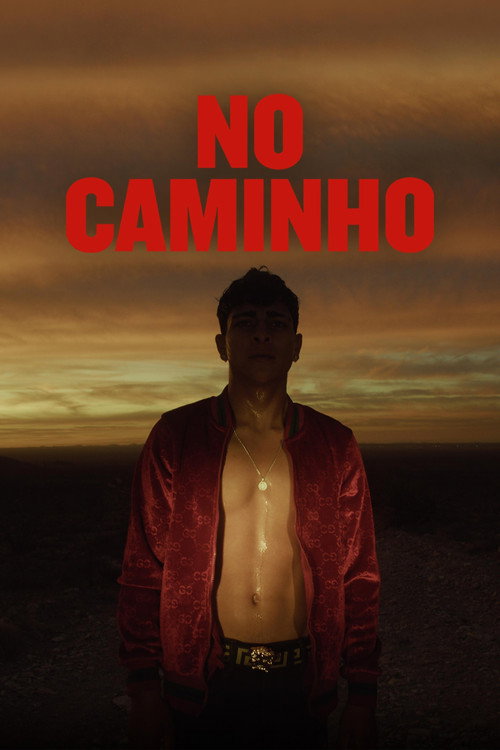 Dois homens solitários se unem em uma jornada em que amor e perigo se cruzam no mundo hipermasculino dos… — pôster do filme para Assistir No Caminho Online