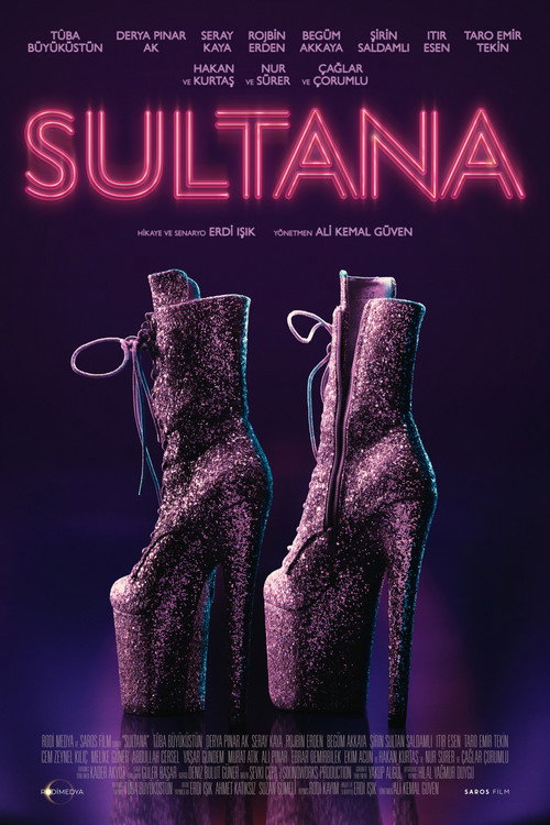 Sultana é um drama ambientado no único clube de strip de Istambul, contando a história de uma mulher, poder… — pôster do filme para Assistir Sultana Online